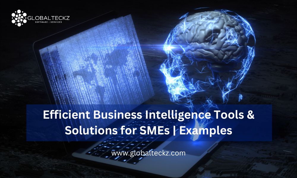Business Intelligence Tools & Solutions for SMEs Examples
